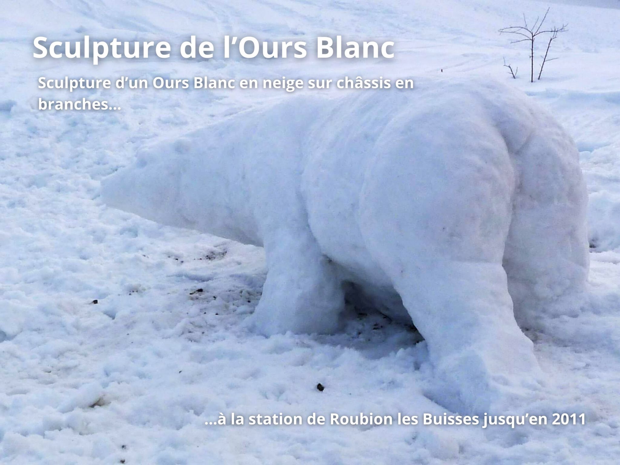 Sculpture de l'ours Blanc 1