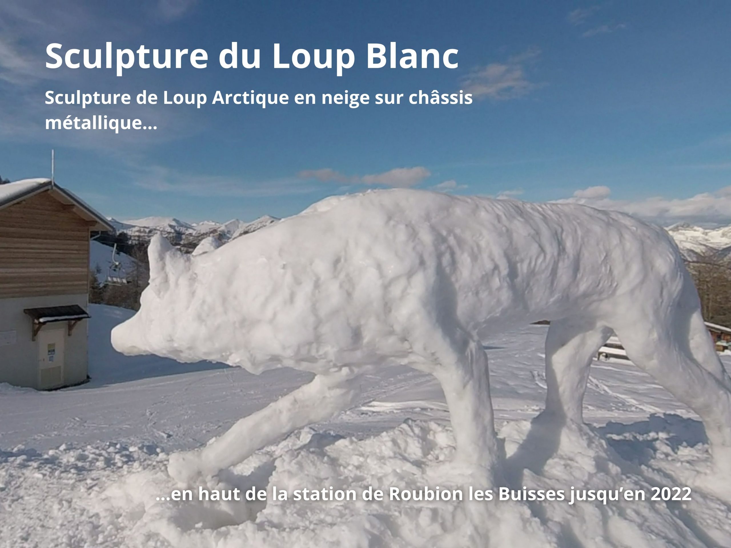 Sculpture du Loup Blanc (1)