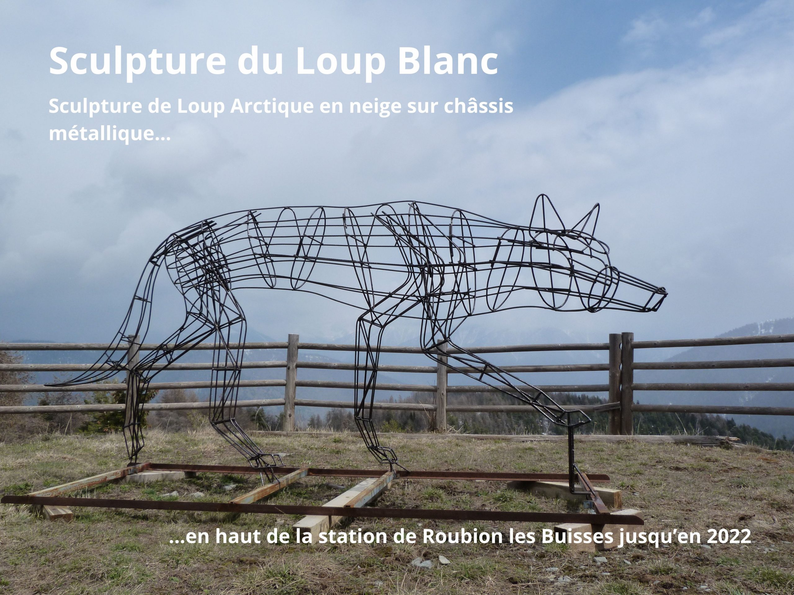 Sculpture du Loup Blanc